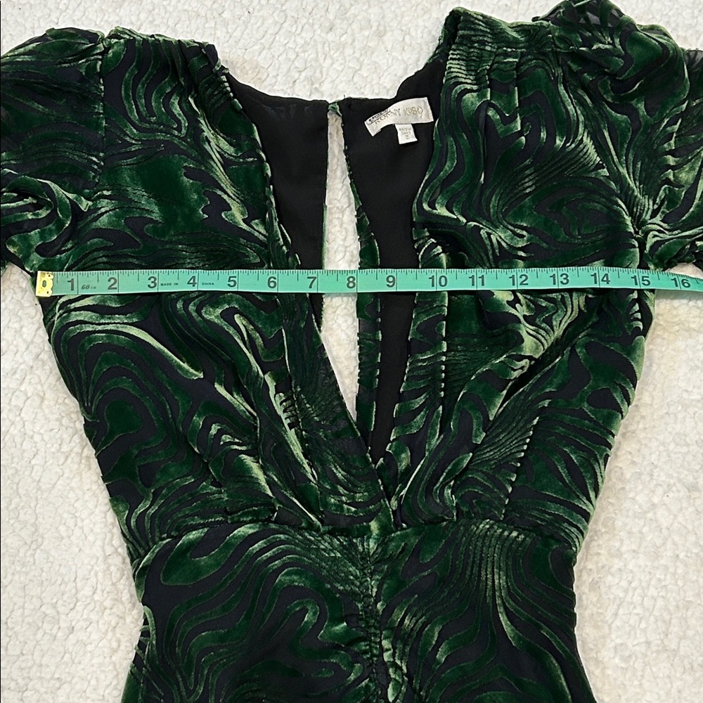 Ronny Kobo Astrid Dress size Small Burnout Velvet Green Black Silk Blend - Picture 11 of 16